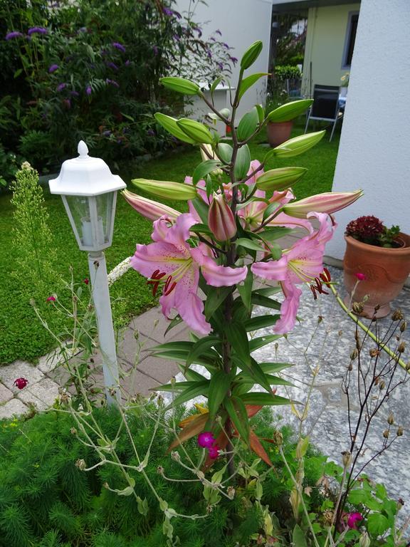 Ferienwohnung Traudl Singer Innsbruck Eksteriør bilde